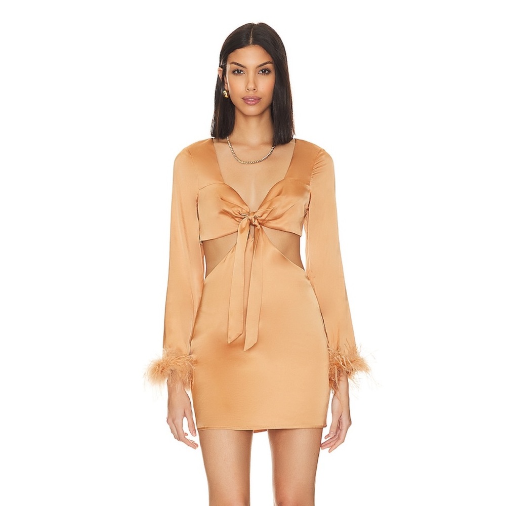 Camila Coelho feather dress in soft gold